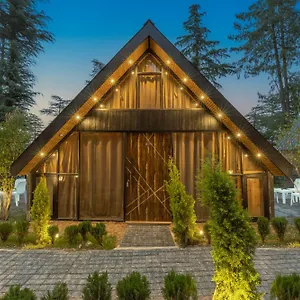 Bluebird By Black Pearl I Kufri Shimla